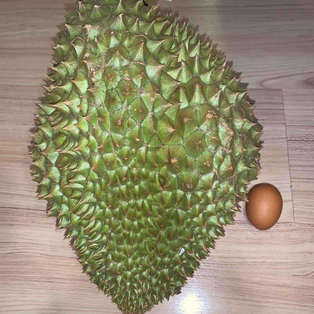 Durian