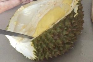 Durian