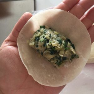 Wrap Gyoza